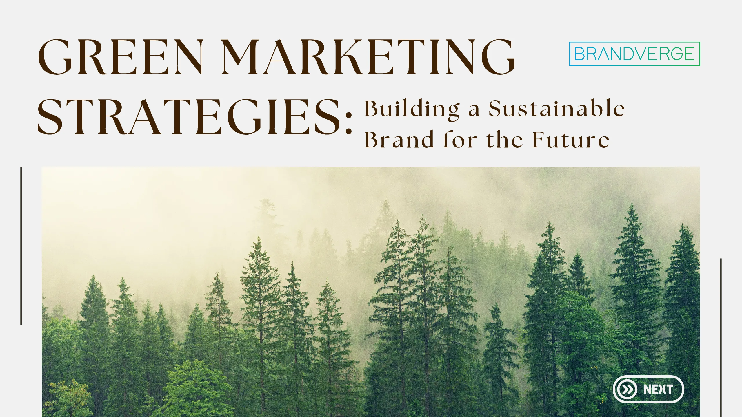 Green Marketing Strategies: Building a Sustainable Brand for the Future